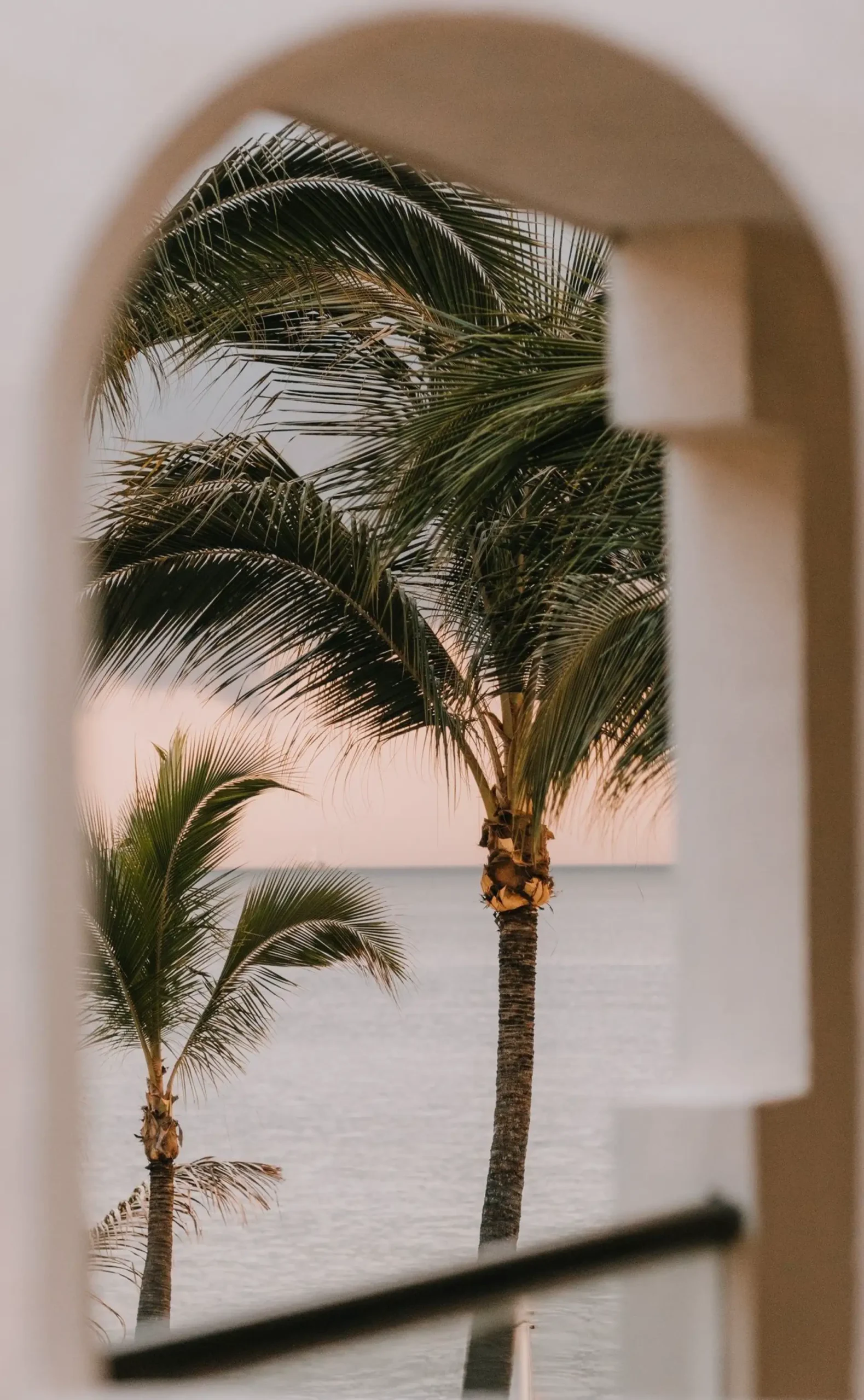 Luxury medical spa interior with calming palm views in Tampa Florida